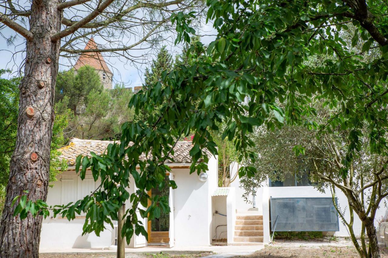 Les Pimprenelles Villa Carcassonne Dış mekan fotoğraf